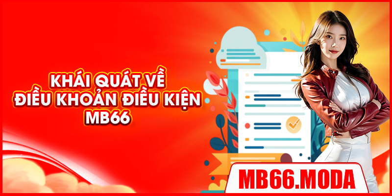 Khái quát về điều khoản điều kiện MB66