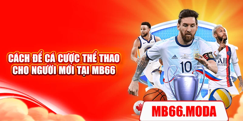 Cách để cá cược thể thao cho người mới tại MB66