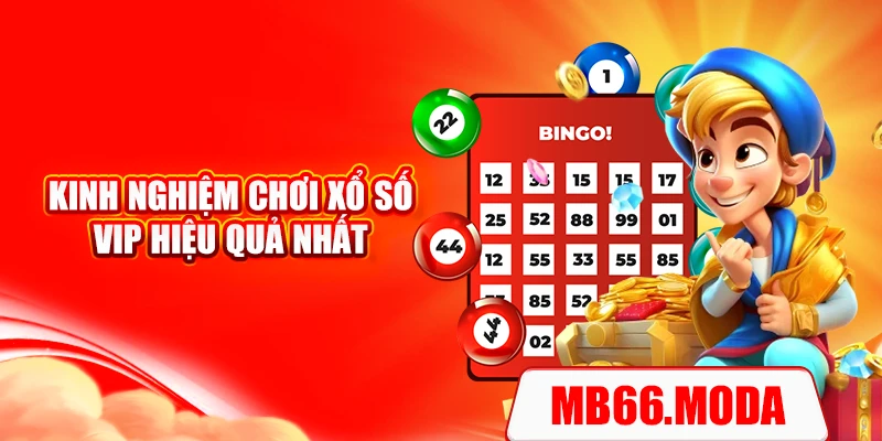 Kinh nghiệm chơi xổ số VIP hiệu quả nhất