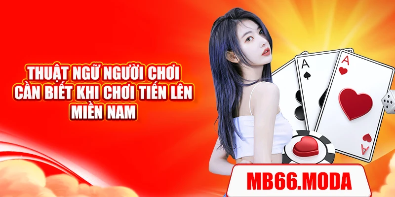 Thuật ngữ người chơi cần biết khi chơi tiến lên miền nam