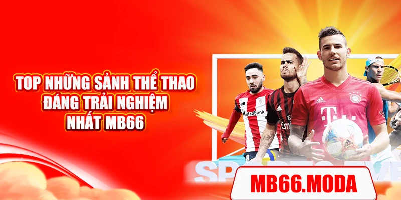 Top những sảnh thể thao đáng trải nghiệm nhất MB66
